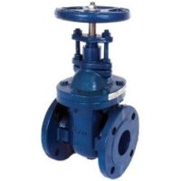 DDP   Cast Iron PN16 Flanged Gate Valve - 2 inch